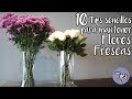 Flores que duren frescas por más tiempo ¡10 Tips!