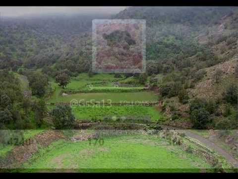 حامد زيد اهل الجنوب تصميمي Mohamed Alonizi