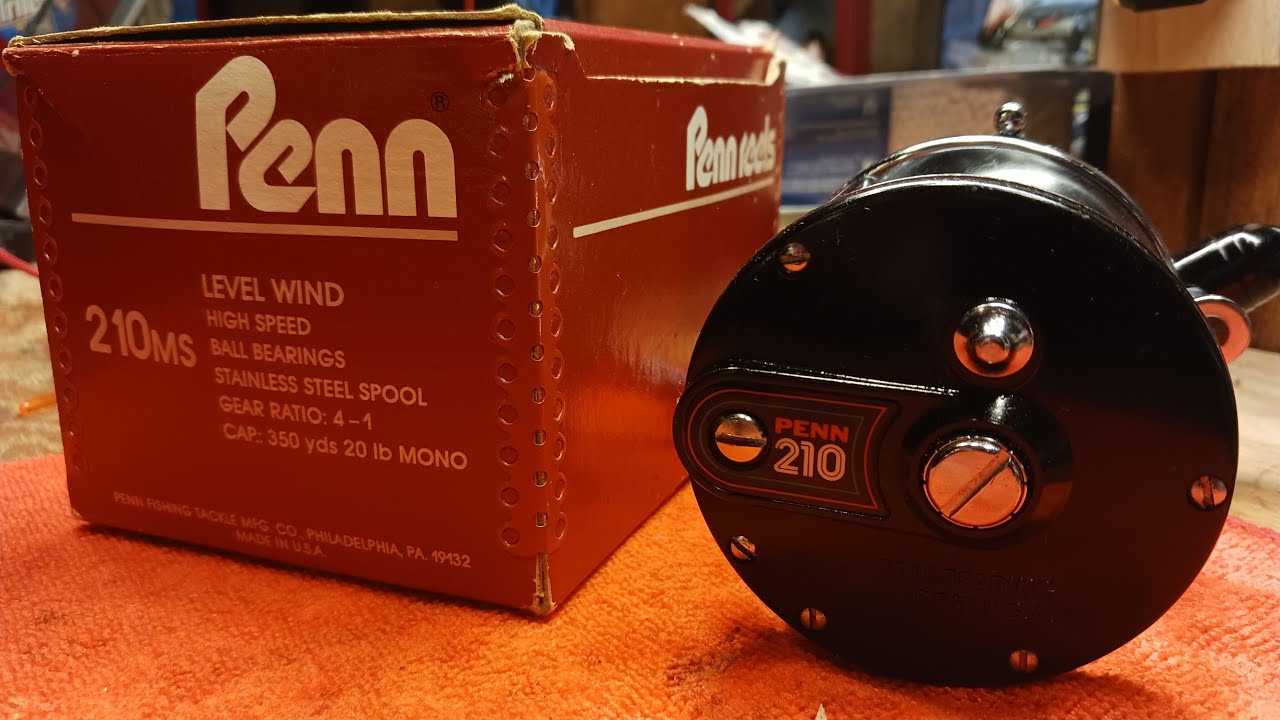 Penn 210 Ball Bearing Levelwind Conventional Reel Disassembly