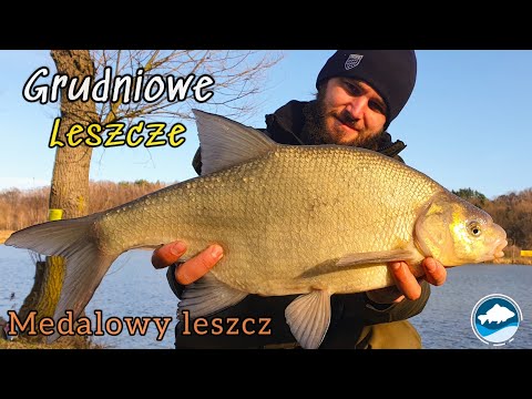 Wideo: Jak łowić Leszcza Na Bujaka Zimą