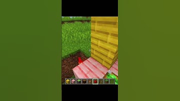 Minecraft Block Swapper🤩#minecraftshorts #minecraftbuilding #minecraftvideo #gaming #minecrafttrends