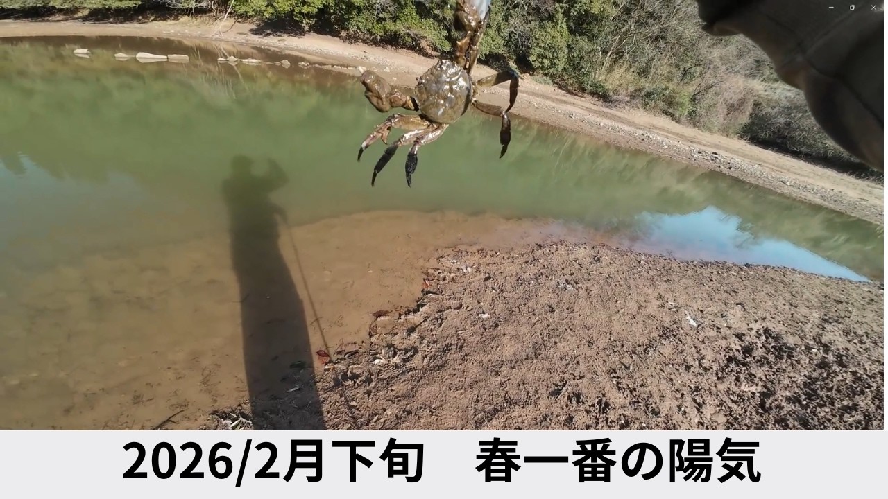 【早春も】急激な水温上昇【ギーラカンス】