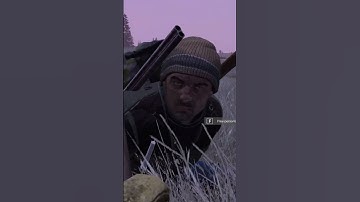One of the coolest interactions I have had on DayZ