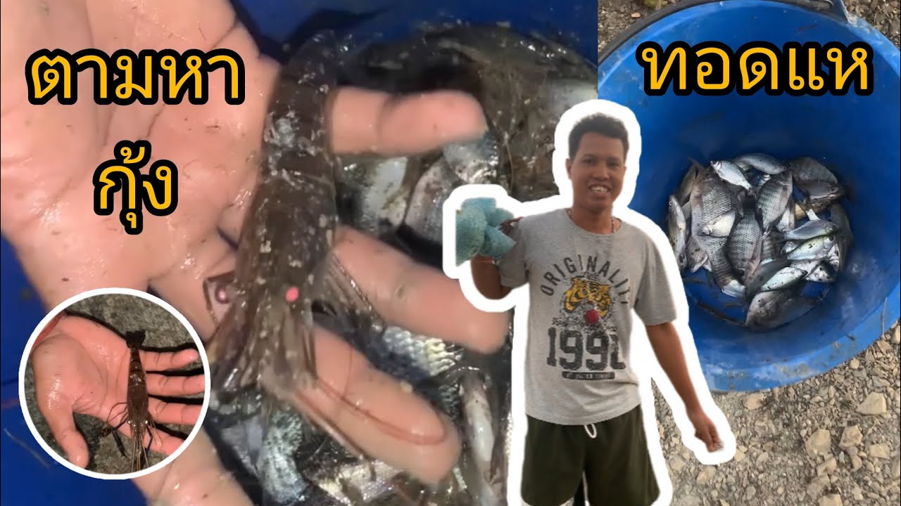 ทอดแหตามหากุ้ง 🕸️🦐🦞