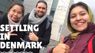 HOW TO SETTLE IN DENMARK (ACCOMMODATION AND TRANSPORTATION)