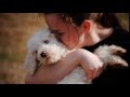 Highland Canine Training, LLC - Your Source for Dog Training Programs and Courses Highland Canine Training, LLC - Your Source for Dog Training Programs and Courses