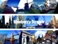 Blueberry Stream - dj TAKA