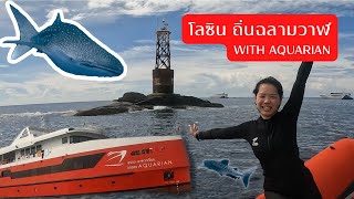 Vlog #5 โลซิน ดำน้ำสบตาฉลามวาฬ กับเรือ Aquarian Liveaboard: Go LOSIN with AQUARIAN l ppuaythepavee