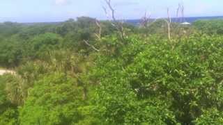 These Are the Mountains of Florida