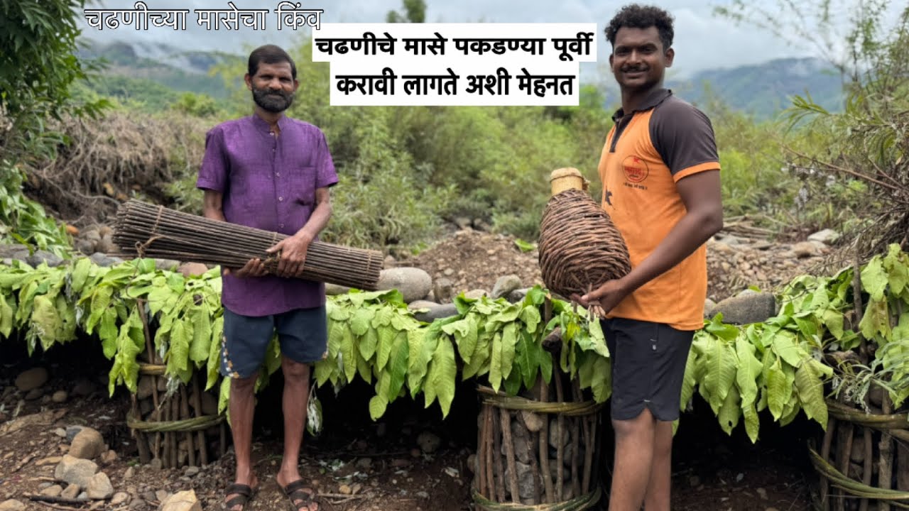 चढणीचे मासे पकडण्यासाठी चक्क दीड महिना आदी तयारी केली जाते! कोकणातील पारंपरिक पद्धतीने बनवला किंव