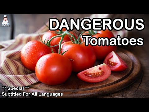 Video: 10 Kesan Sampingan Makan Banyak Tomato