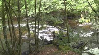 Balade de Redu à Lesse