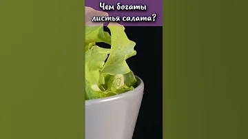 Чем богаты листья салата? #shorts