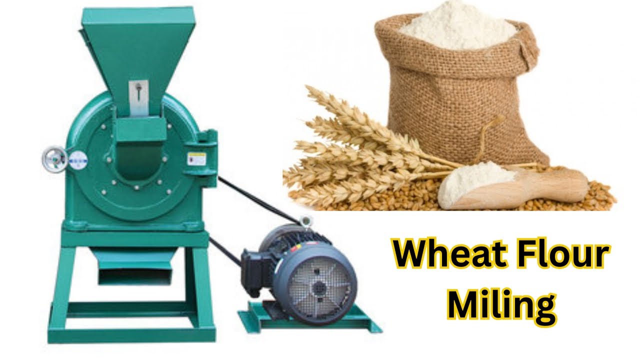 How Wheat is Ground into Flour | Complete Wheat Flour Milling