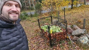 Cleaning up fall leaves