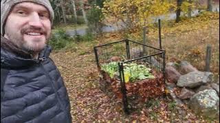 Cleaning up fall leaves