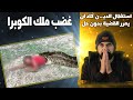 لغز قضيـ.ـة انتقام ملك الكوبرا I واقعة خبـ..ـيثة بإسم الدين لغز قضيـ.ـة انتقام ملك الكوبرا I واقعة خبـ..ـيثة بإسم الدين