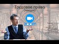 Всё трудовое право (+ тренинг преподаватель не вышел в Zoom)