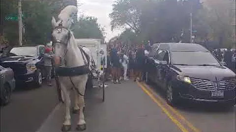 White Horse Drawn Hearse for Final Farewell wih Grace Funeral Services Brooklyn NY Sept 9 2020