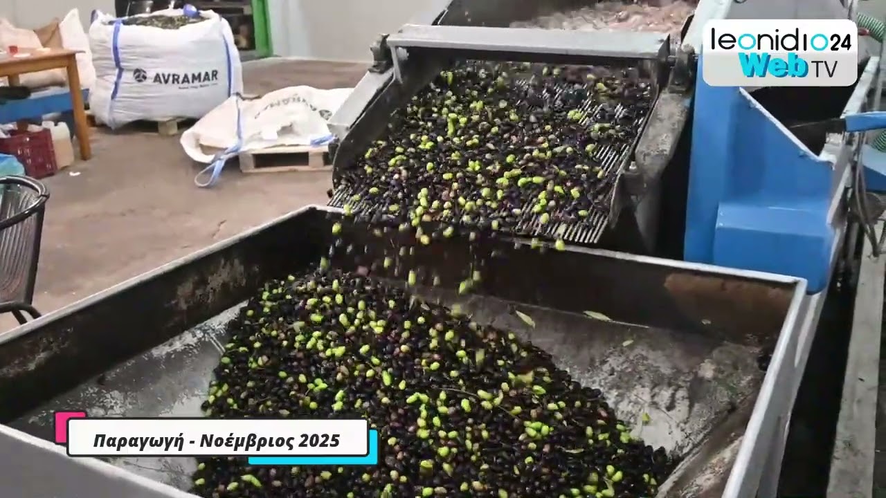 Από τον ελαιόκαρπο στο χρυσάφι της γης – Επίσκεψη στο Ελαιοτριβείο Αφοι Πουλέτσου Πούλιθρα