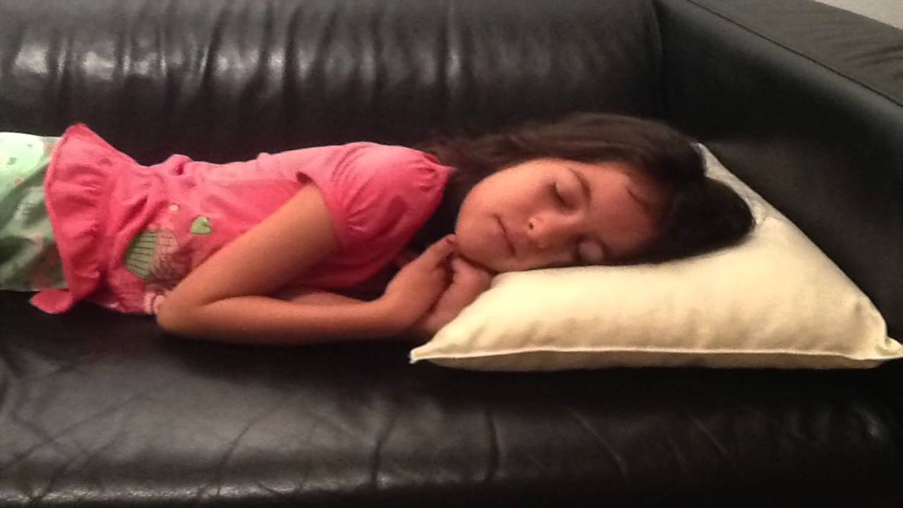 ethicalDeal Product Review Organic Lifestyle Pillows