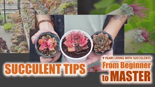 All Succulent Tips - From Beginner to Master | 9 Years Living with Succulents screenshot 2