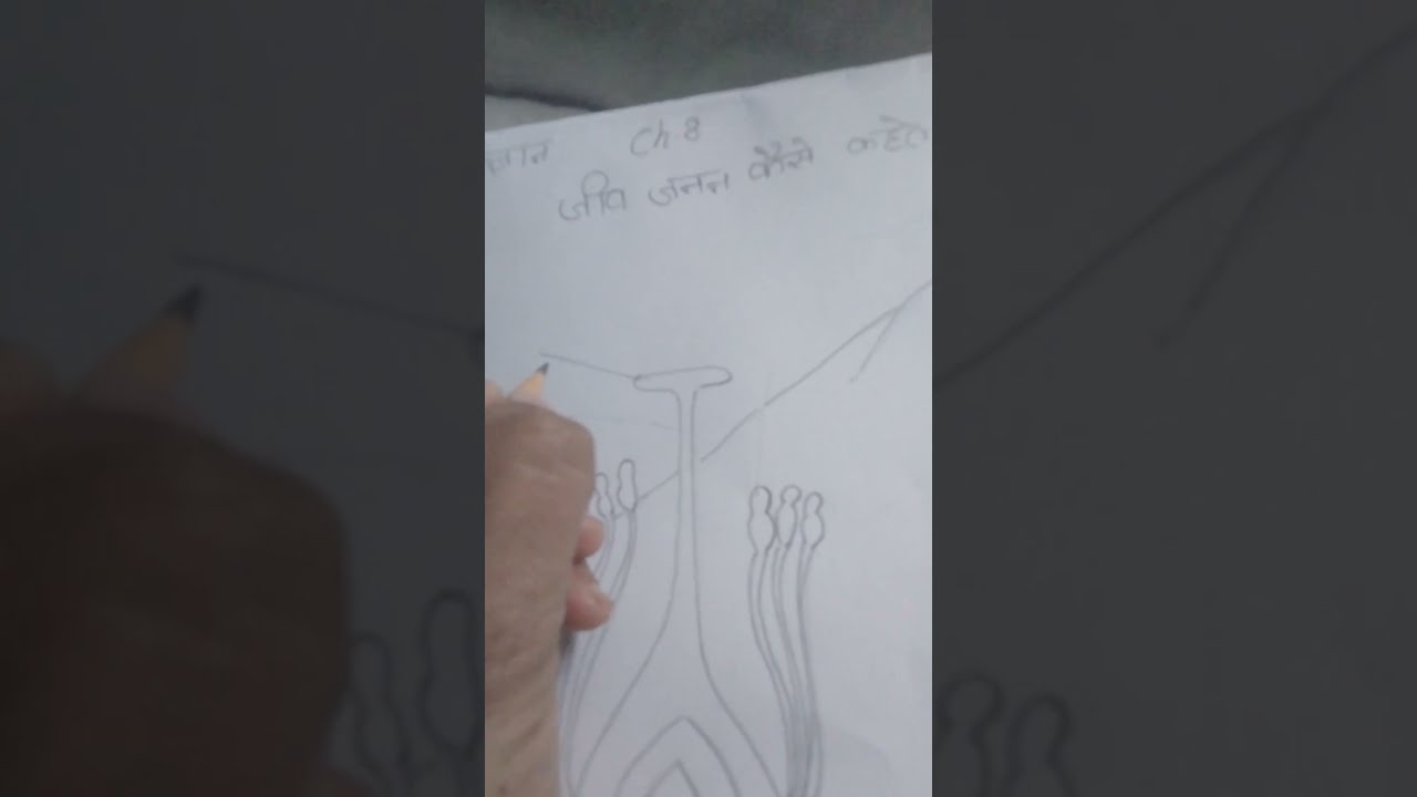 Science Chapter 8 Second Part Video Diagram Pussy Paudhon Mein Science Chapter 8 Second Part Video Diagram Pussy Paudhon Mein