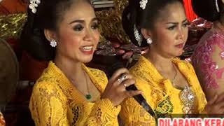 ULER KAMBANG // UUN // UYON UYON GAYENG // MUSTIKA LARAS