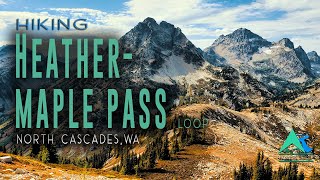 Heather Maple Pass Loop - Washington Trail
