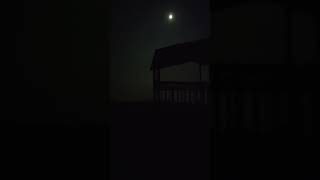 Dogs Barking Midnight