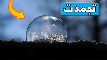 Bubbles Freezing in Slow Motion