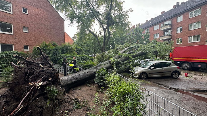 #Unwetteralarm in #Hamburg! Baum stürzt auf parkende Autos. Hunderte #Einsätze für die #Feuerwehr.