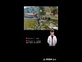 Live streaming of GoGo
