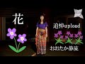 おおたか静流さん追悼/花(アカペラ)