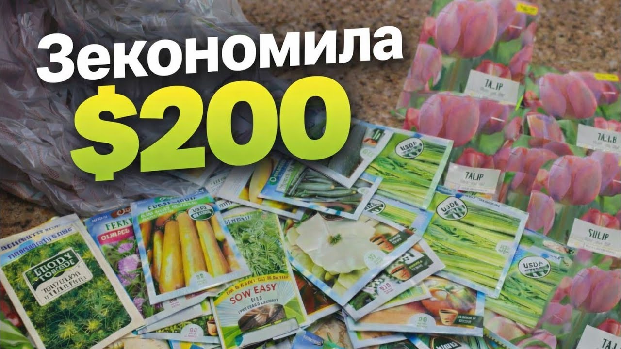 Хто сказав, що в БІБЛІОТЕЦІ ТІЛЬКИ КНИГИ?Сьогодні покажу вам дещо цікавіше! БЕЗКОШТОВНЕ НАСІННЯ! 🇺🇸 