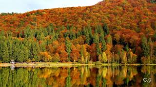 *** - JAMES LAST & GH. ZAMFIR  - A Morning in Cornwall - ***/Autumn landscapes in Transylvania - Resimi