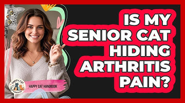 Is My Senior Cat Hiding Arthritis Pain? - Happy Cat Handbook