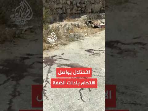 الاحتلال يعلن تصفية شابين فلسطينيين قرب بلدة الخضر.. ماذا حدث؟