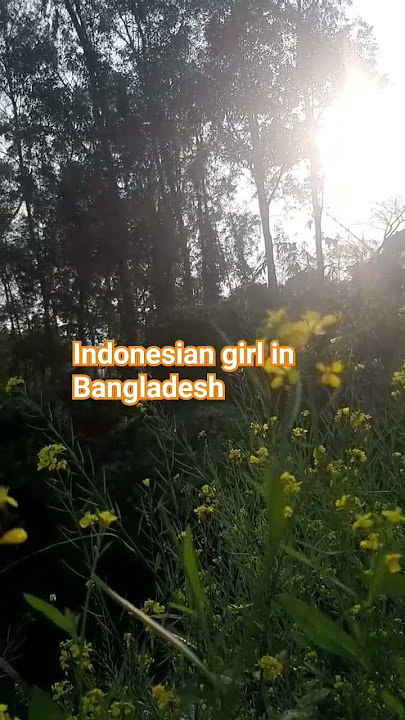 bunga yg cantik #shorts #shortsvedio #viral #trending #hartinizia #bangladeshvlog