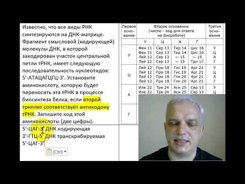 Видео: Термофилен микроорганизъм от остров Deception, Антарктида с термостабилна глутаматдехидрогеназна активност