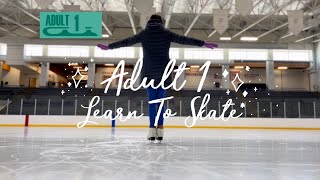 Adult 1 Learn to Skate (journeybacktotheice) #adultsskatetoo