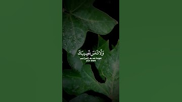 وابتغ فيما اتاك الله الدار الاخره #المنشاوي #تلاوة_خاشعة #ارح_قلبك