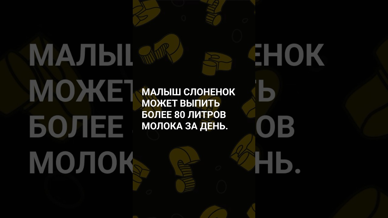 ⁣Интересный факт! А ты знал? #открытия #тайны #загадки #факт #факты #расследования #история #наука