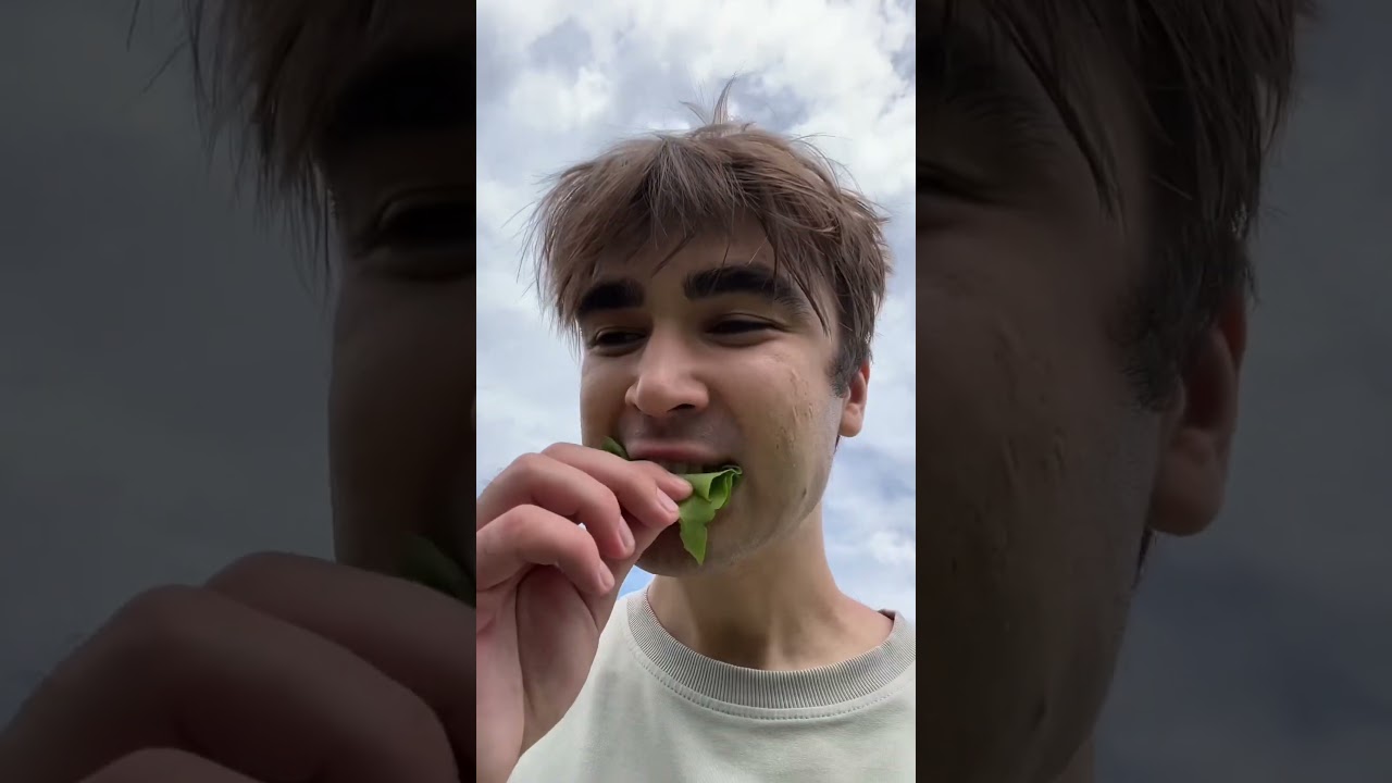 Обзор на Бабушкин огород 🧑‍🌾