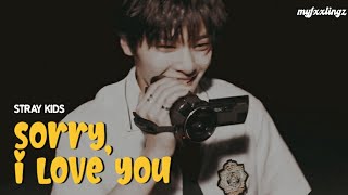 STRAY KIDS (좋아해서 미안) - 'SORRY, I LOVE YOU' Lirik & Terjemahan (Rom/IndoSub)