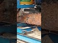 25 августа 2025 г.