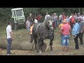 Concurs cu cai de tractiune - Paltinis, Botosoani 2017