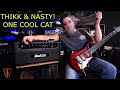 Гітарний кабінет BAD CAT LYNX 2X12 EXTENSION CABINET