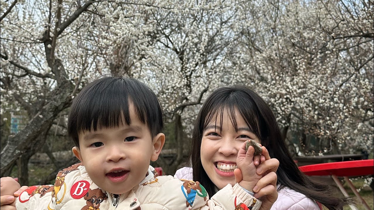 26.03.01 기차여행 원동 매화구경