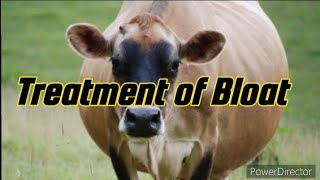 Treatment of Bloat|| symptoms of Bloat|| what is bloat|| use of trocar and cannula||
